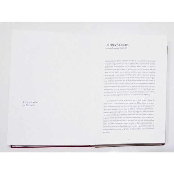 BOOK LOS CAMINOS DORADOS MARIO VELEZ "SIGNED" ARTIST "LTD EDITION" ART HARDCOVER - Picture 4 of 12